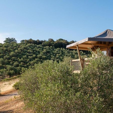 Glamping Podere San Jacopo Massa Marittima Ngoại thất bức ảnh