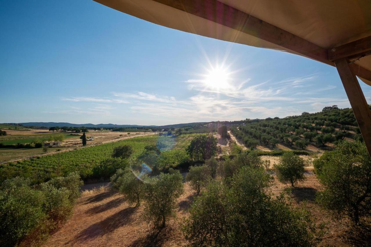 Glamping Podere San Jacopo Massa Marittima Ngoại thất bức ảnh
