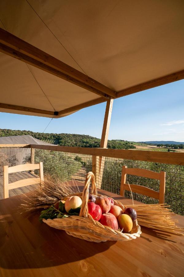 Glamping Podere San Jacopo Massa Marittima Ngoại thất bức ảnh