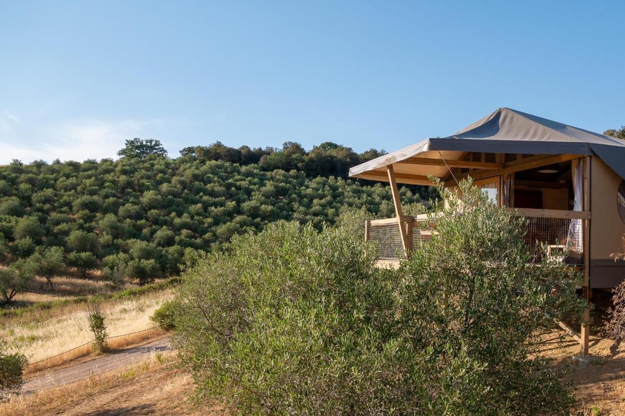 Glamping Podere San Jacopo Massa Marittima Ngoại thất bức ảnh