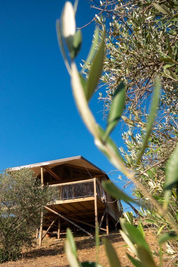 Glamping Podere San Jacopo Massa Marittima Ngoại thất bức ảnh